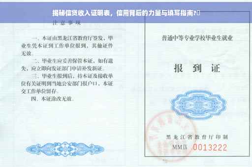 揭秘信贷收入证明表，信用背后的力量与填写指南?✨