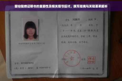窗帘阻燃证明书的重要性及相关细节探讨，撰写指南与关键要素解析