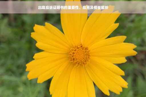 出庭应诉证明书的重要性、应用及模板解析