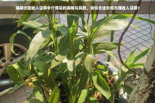 揭秘沈阳收入证明中介背后的真相与风险，如何合法合规办理收入证明？