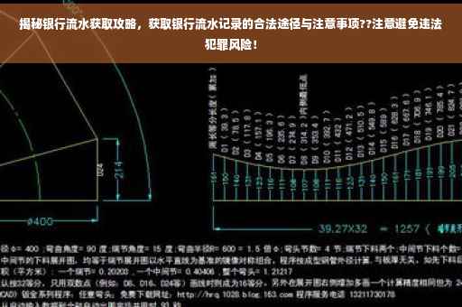 揭秘银行流水获取攻略，获取银行流水记录的合法途径与注意事项??注意避免违法犯罪风险！
