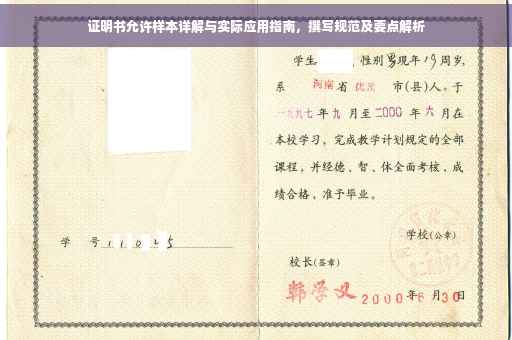 证明书允许样本详解与实际应用指南，撰写规范及要点解析