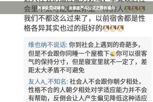 刑事处罚证明书，法律威严与公正之路的揭示