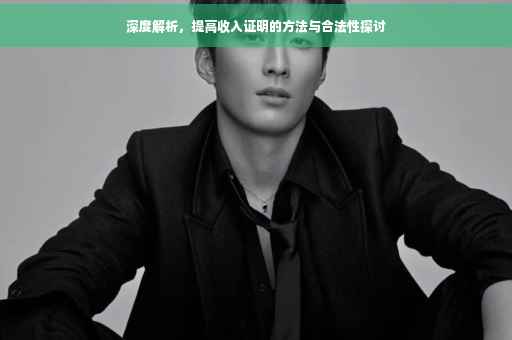 深度解析，提高收入证明的方法与合法性探讨