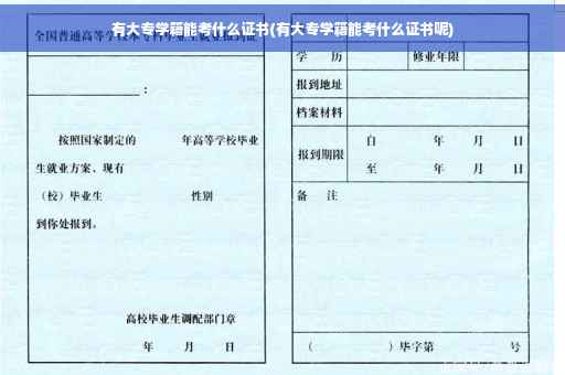 有大专学籍能考什么证书(有大专学籍能考什么证书呢)