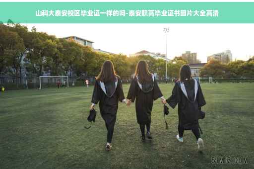 山科大泰安校区毕业证一样的吗-泰安职高毕业证书图片大全高清