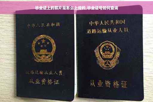 毕业证上的照片是怎么上传的,毕业证号如何查询