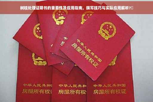 树枝处理证明书的重要性及应用指南，撰写技巧与实际应用解析?✨