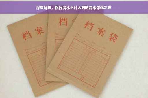 深度解析，银行流水不计入时的流水体现之道