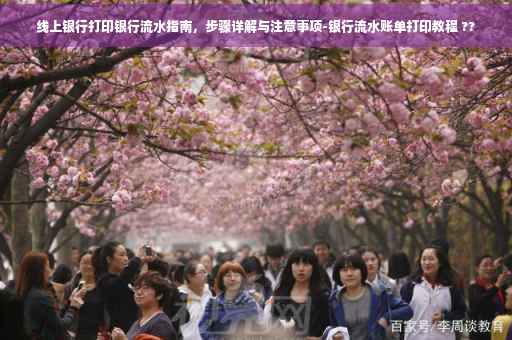 线上银行打印银行流水指南，步骤详解与注意事项-银行流水账单打印教程 ??