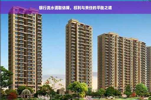 银行流水调取依据，权利与责任的平衡之道