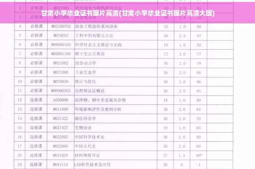 甘肃小学毕业证书图片高清(甘肃小学毕业证书图片高清大图)