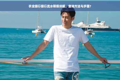 农业银行银行流水明细详解，查询方法与步骤?
