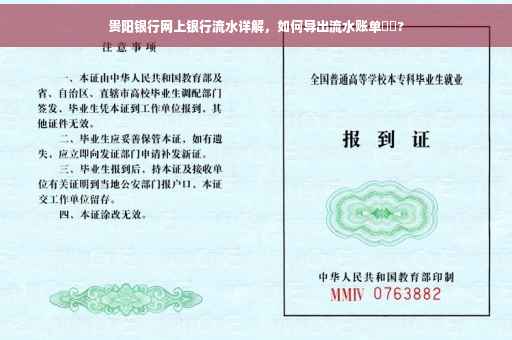 贵阳银行网上银行流水详解，如何导出流水账单⚡️?