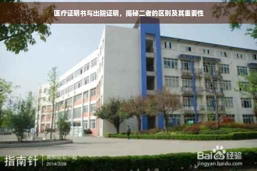 医疗证明书与出院证明，揭秘二者的区别及其重要性