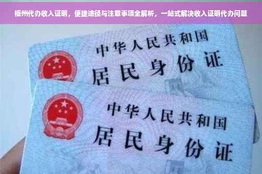 梧州代办收入证明，便捷途径与注意事项全解析，一站式解决收入证明代办问题