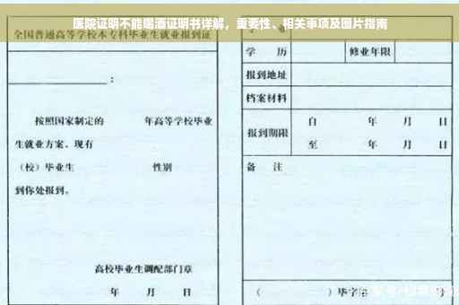 医院证明不能喝酒证明书详解，重要性、相关事项及图片指南