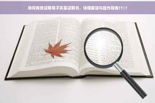 如何有效证明母子关系证明书，详细解读与操作指南??‍?