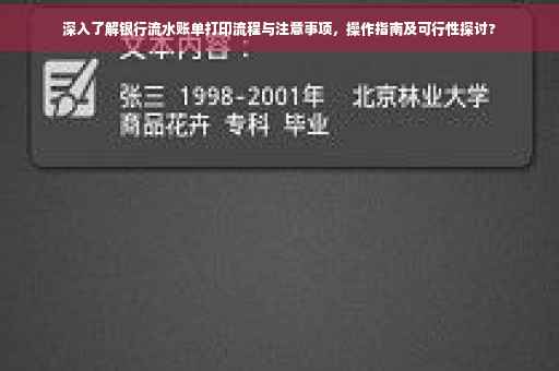 深入了解银行流水账单打印流程与注意事项，操作指南及可行性探讨?