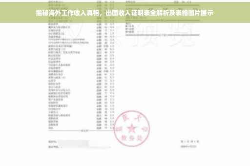 揭秘海外工作收入真相，出国收入证明表全解析及表格图片展示