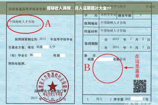揭秘收入真相，月入证明图片大全??