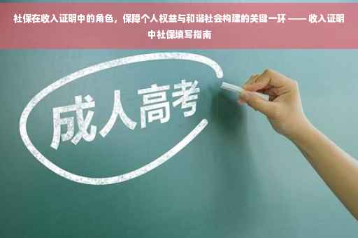 社保在收入证明中的角色，保障个人权益与和谐社会构建的关键一环 —— 收入证明中社保填写指南