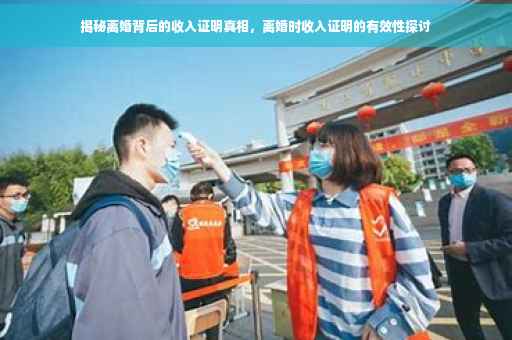 揭秘离婚背后的收入证明真相，离婚时收入证明的有效性探讨