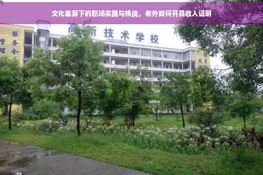 文化差异下的职场实践与挑战，老外如何开具收入证明