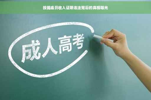 按揭虚开收入证明违法背后的真相曝光