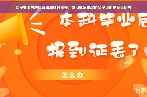 父子关系的法律证明与社会责任，如何撰写详尽的父子证明关系证明书