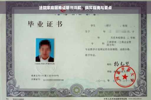 法院家庭困难证明书详解，撰写指南与要点