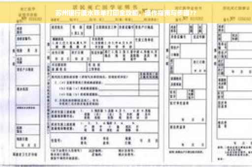 苏州银行流水账单打印全攻略，操作指南与步骤??