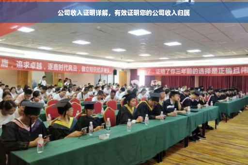 公司收入证明详解，有效证明您的公司收入归属