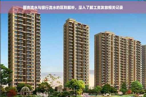 薪资流水与银行流水的区别解析，深入了解工资发放相关记录