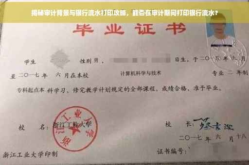 揭秘审计背景与银行流水打印攻略，能否在审计期间打印银行流水？