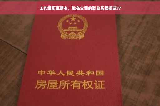 工作经历证明书，我在公司的职业历程概览??