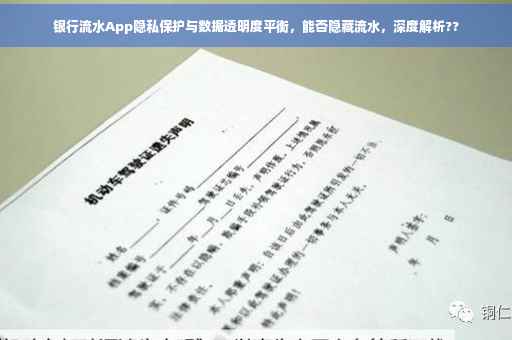 银行流水App隐私保护与数据透明度平衡，能否隐藏流水，深度解析??