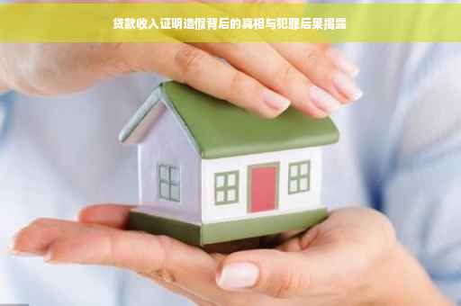 贷款收入证明造假背后的真相与犯罪后果揭露