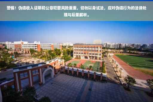 警惕！伪造收入证明和公章犯罪风险重重，切勿以身试法，应对伪造行为的法律处理与后果解析。