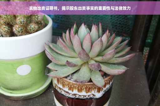 实物出资证明书，揭示股东出资事实的重要性与法律效力