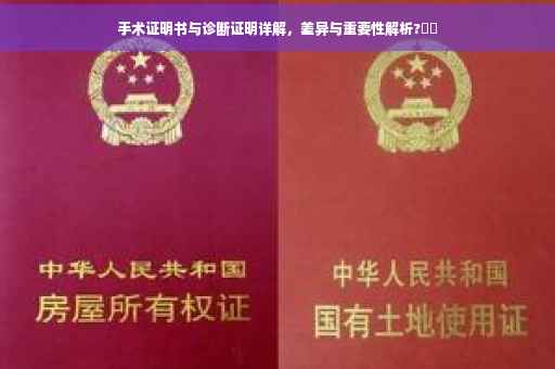 手术证明书与诊断证明详解，差异与重要性解析?⚡️
