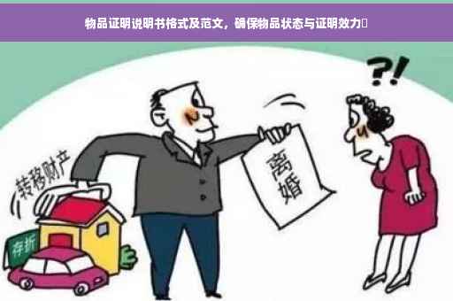 物品证明说明书格式及范文，确保物品状态与证明效力✨