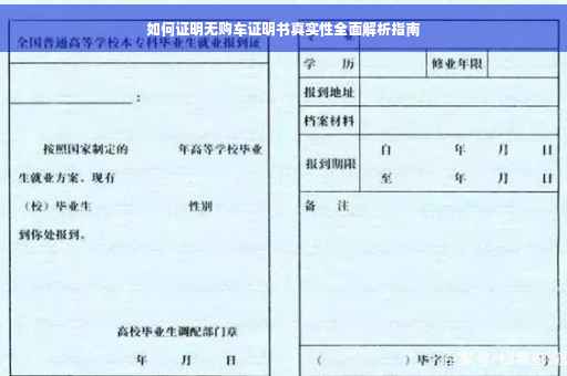 如何证明无购车证明书真实性全面解析指南