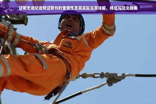 证明无违纪违规证明书的重要性及其实际应用详解，格式与范文指南