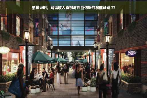 纳税证明，解读收入真相与判断依据的权威证明 ??