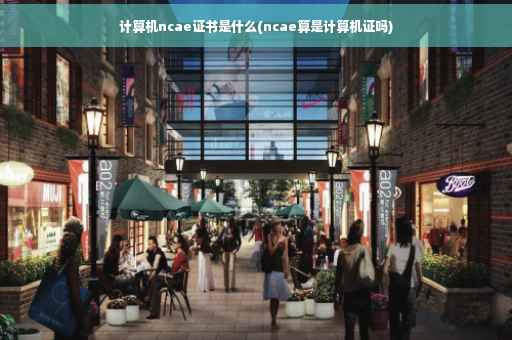 计算机ncae证书是什么(ncae算是计算机证吗)