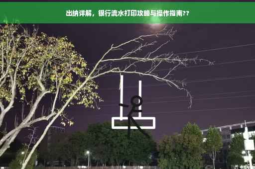 出纳详解，银行流水打印攻略与操作指南??