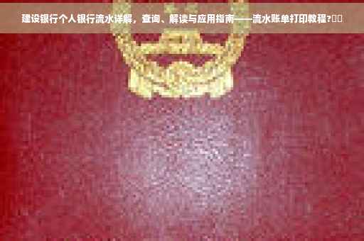 建设银行个人银行流水详解，查询、解读与应用指南——流水账单打印教程?⚡️