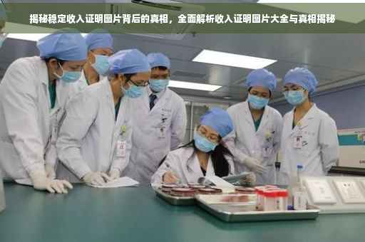 揭秘稳定收入证明图片背后的真相，全面解析收入证明图片大全与真相揭秘