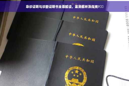 急诊证明与诊断证明书全面解读，差异解析及指南?⚡️